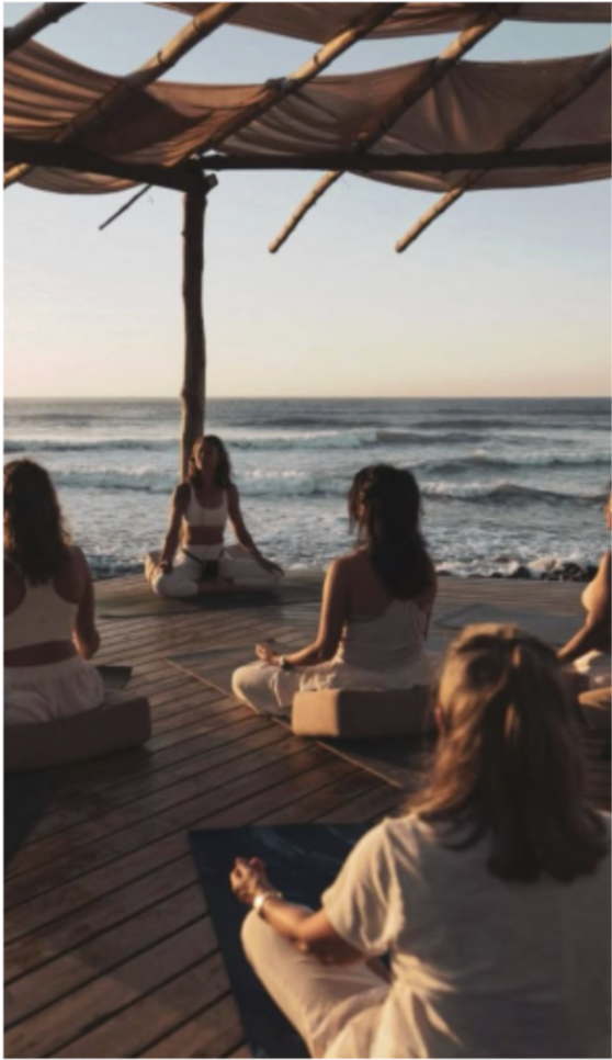 Royal Van Lent mood board 4